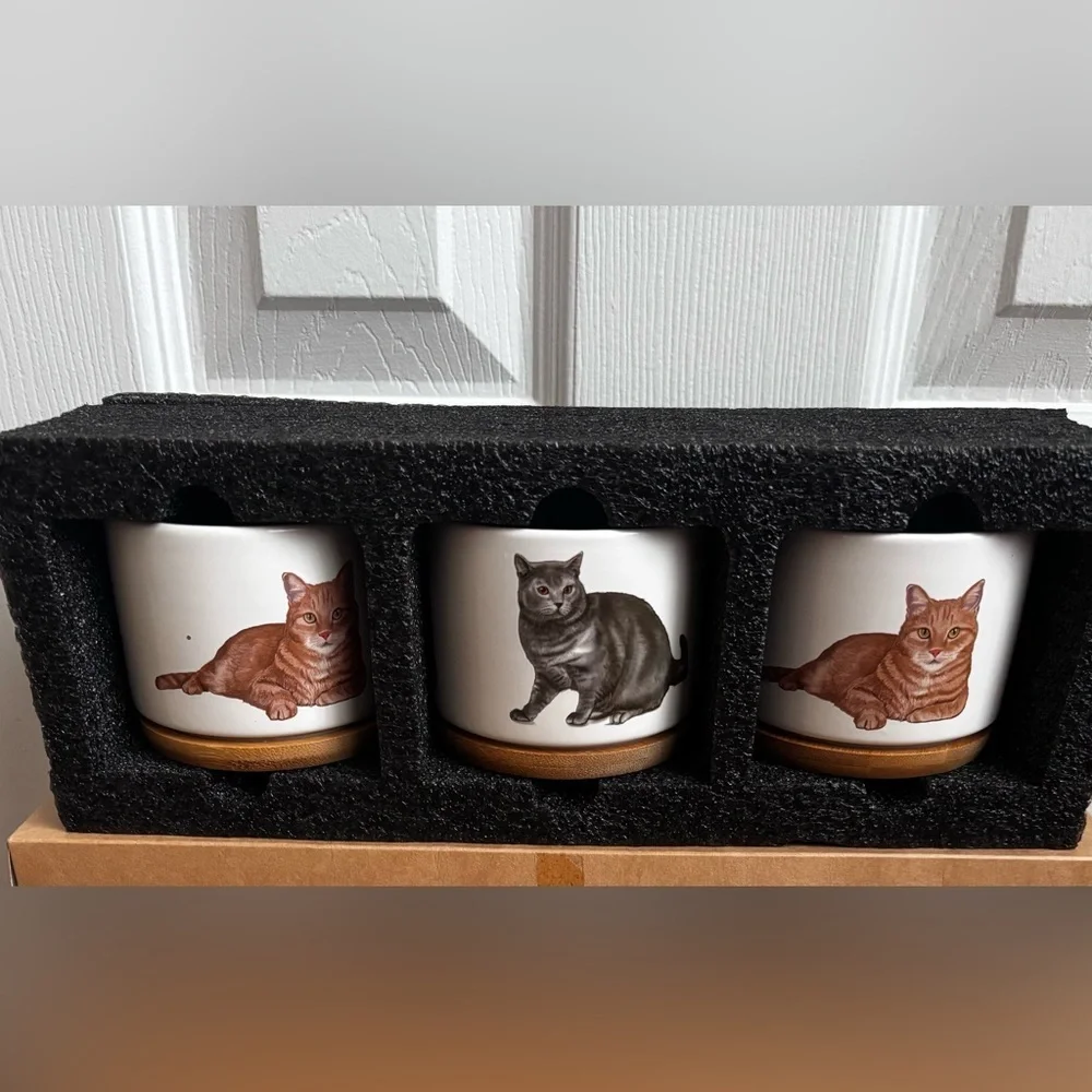 Mini Cat Planters | Set of 3 | NEW